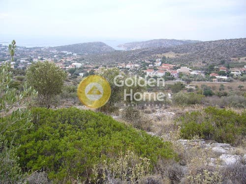 Αγροτεμάχιο στην Λαμπρικά, Κορωπί — Φωτογραφία 8 από 9