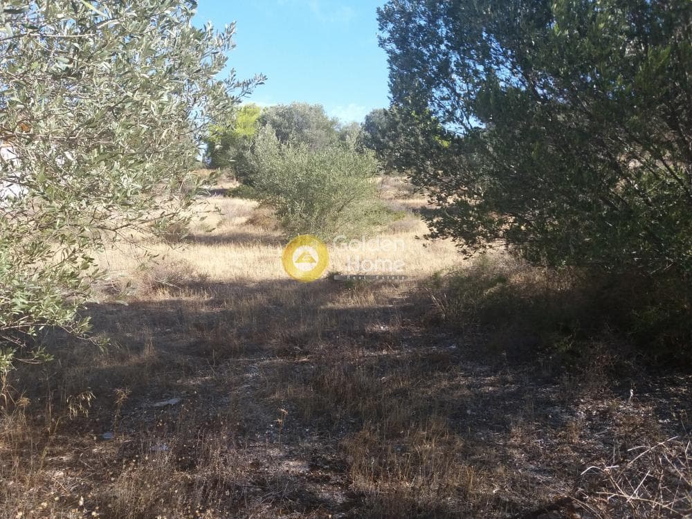 Οικόπεδο στην Μαύρο Λιθάρι, Σαρωνίδα — Φωτογραφία 4 από 8