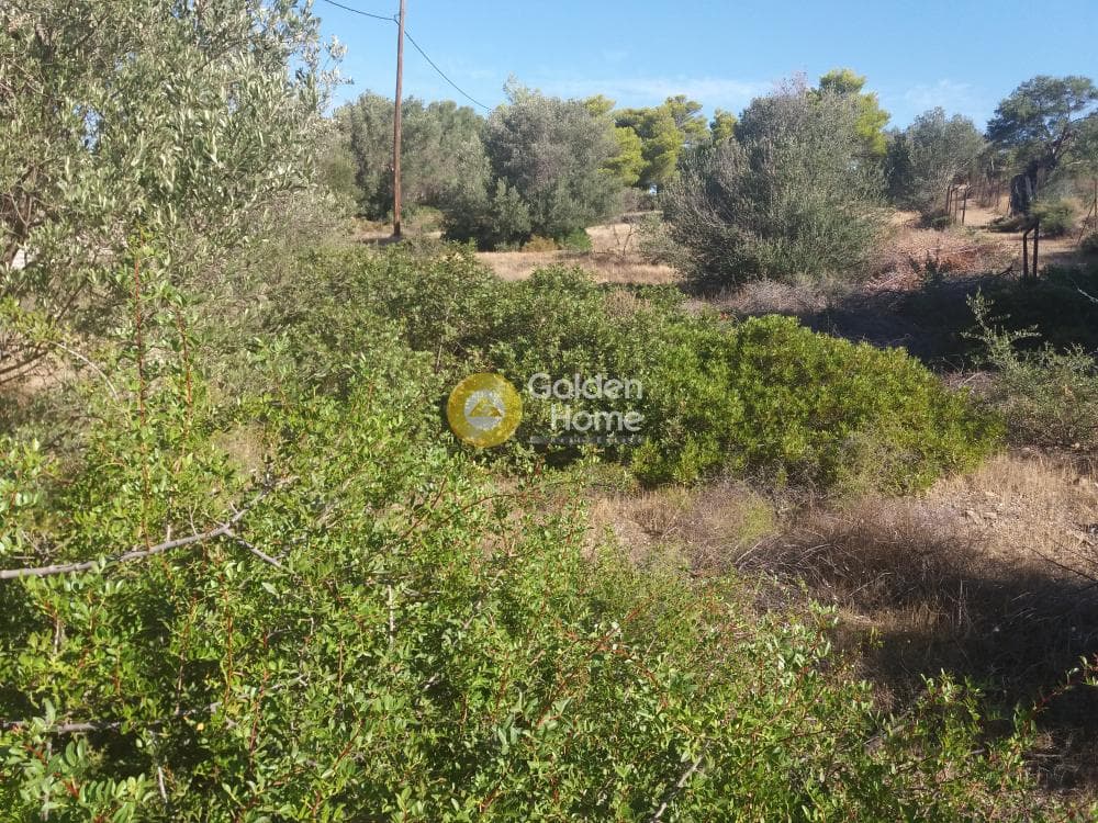 Οικόπεδο στην Μαύρο Λιθάρι, Σαρωνίδα — Φωτογραφία 7 από 8
