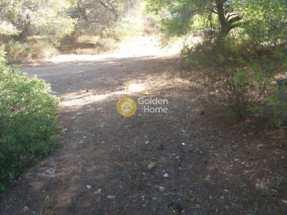 Οικόπεδο στην Μαύρο Λιθάρι, Σαρωνίδα — Φωτογραφία 3 από 8