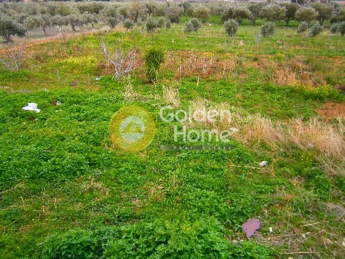 Οικόπεδο στην Μαύρο Λιθάρι, Σαρωνίδα — Φωτογραφία 5 από 8