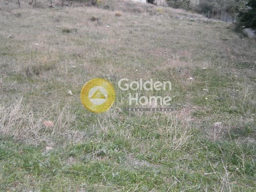 Building Plot in Agios Nikolaos, Anavissos — Photo 5 of 6