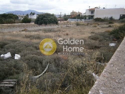 Building Plot in Kalivia, Kalivia Thorikou — Photo 3 of 5