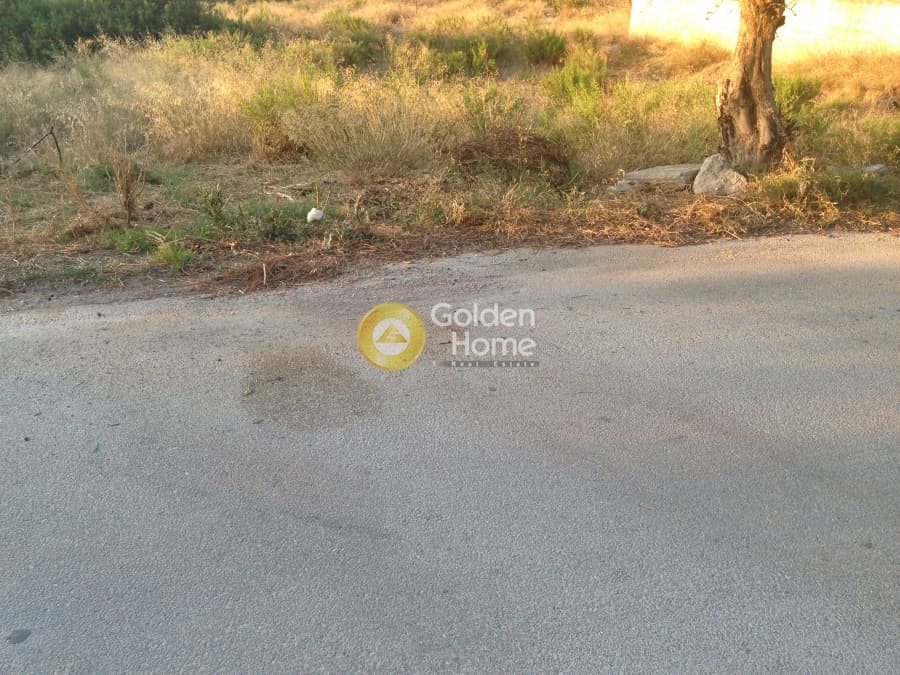 Building Plot in Kalivia, Kalivia Thorikou — Photo 3 of 5
