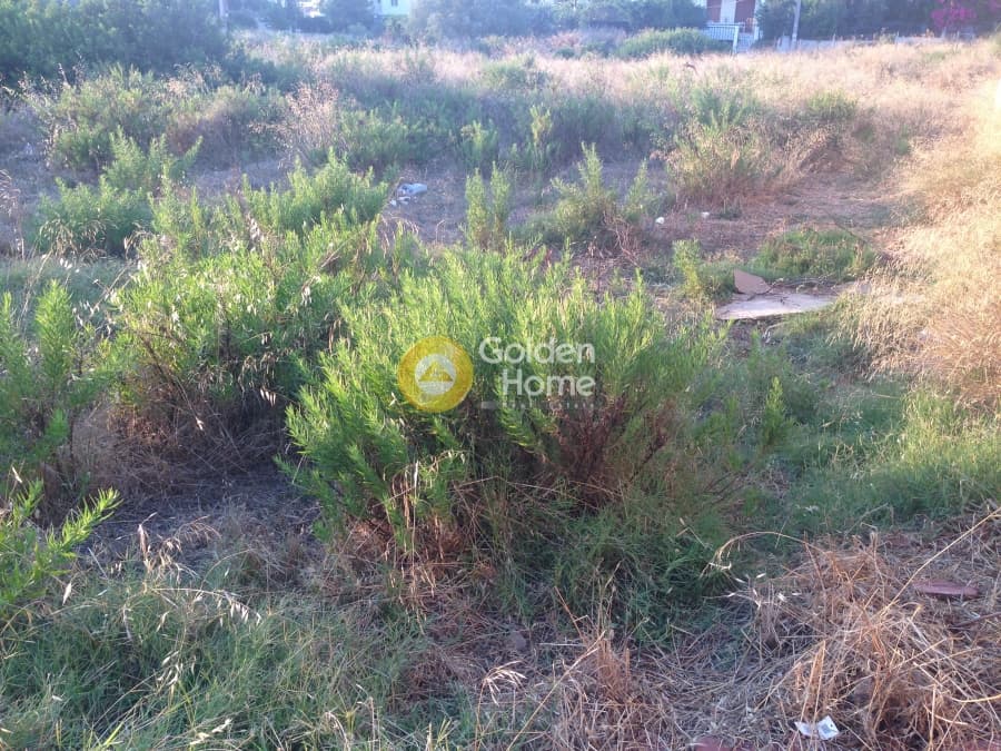 Building Plot in Kalivia, Kalivia Thorikou — Photo 4 of 5