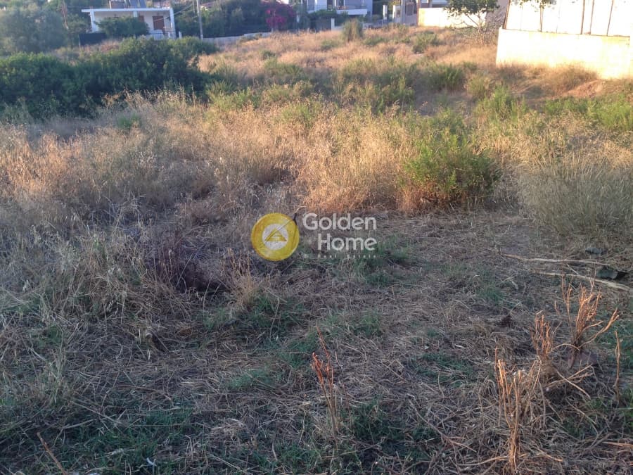 Building Plot in Kalivia, Kalivia Thorikou — Photo 5 of 5