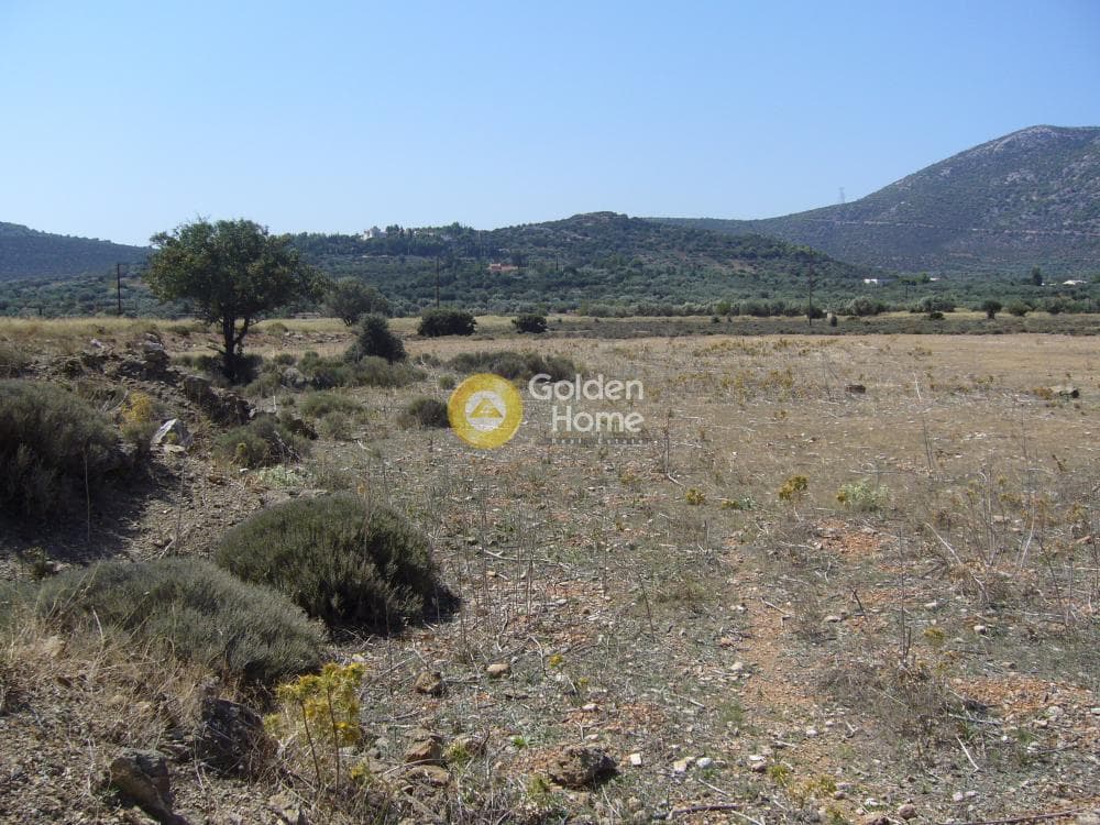 Αγροτεμάχιο στην Κέντρο, Κορωπί — Φωτογραφία 11 από 11