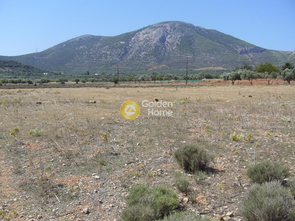 Αγροτεμάχιο στην Κέντρο, Κορωπί — Φωτογραφία 2 από 11