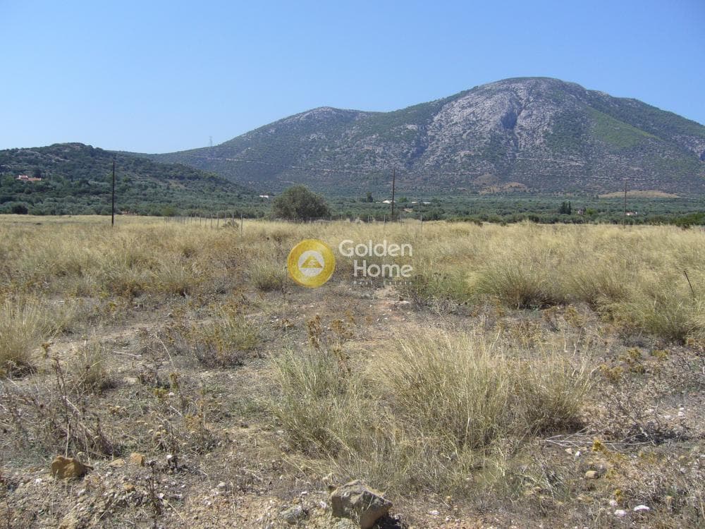 Αγροτεμάχιο στην Κέντρο, Κορωπί — Φωτογραφία 6 από 11