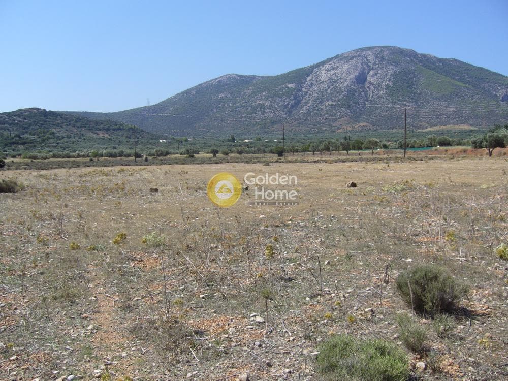 Αγροτεμάχιο στην Κέντρο, Κορωπί — Φωτογραφία 7 από 11