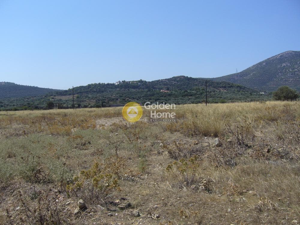 Αγροτεμάχιο στην Κέντρο, Κορωπί — Φωτογραφία 9 από 11