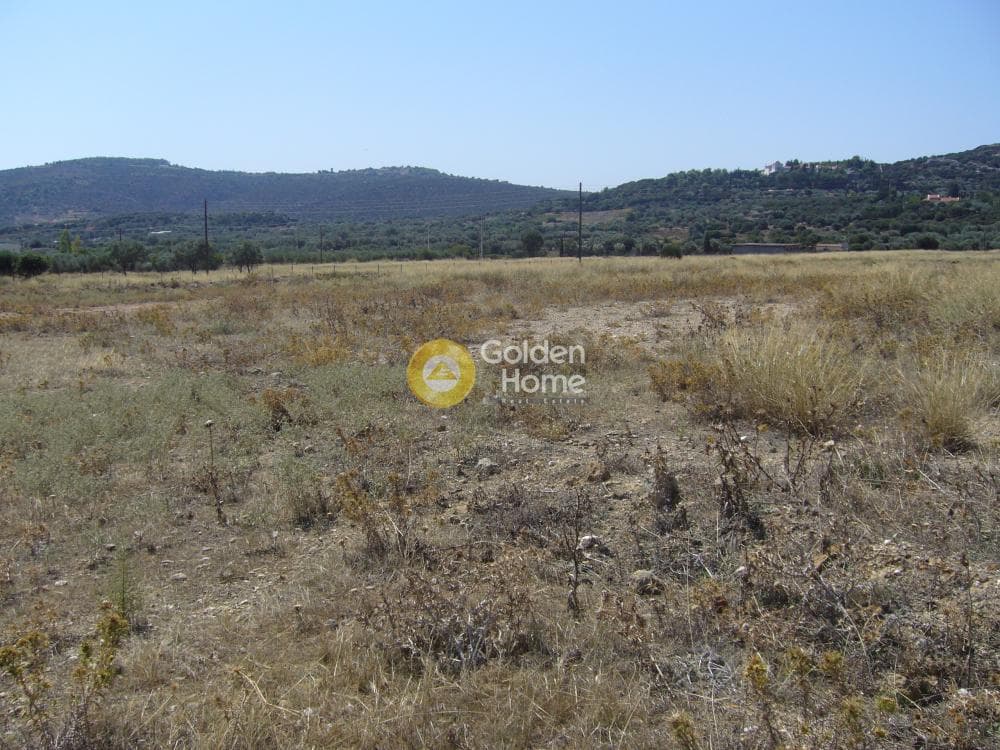 Αγροτεμάχιο στην Κέντρο, Κορωπί — Φωτογραφία 10 από 11