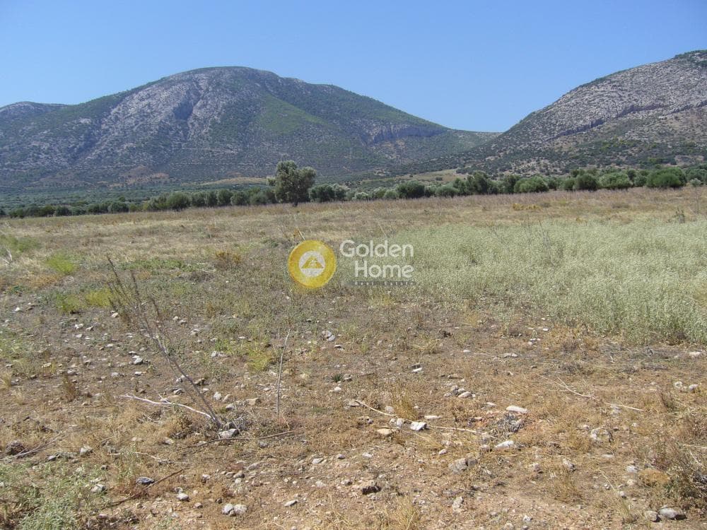 Αγροτεμάχιο στην Κέντρο, Κορωπί — Φωτογραφία 5 από 11