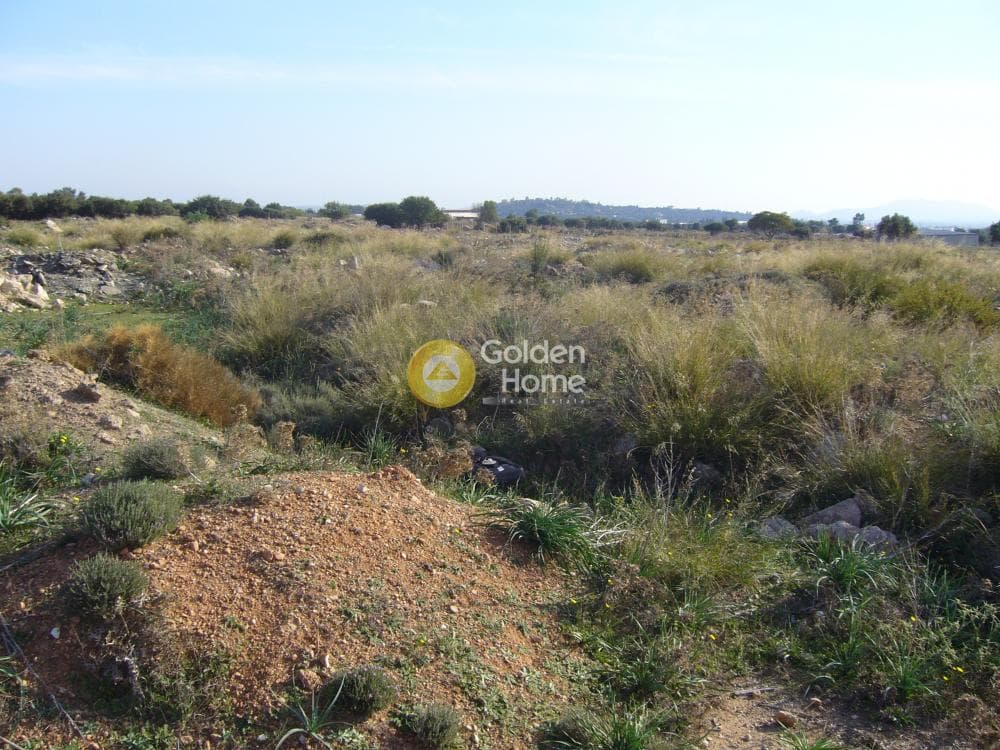 Αγροτεμάχιο στην Κέντρο, Κορωπί — Φωτογραφία 4 από 11