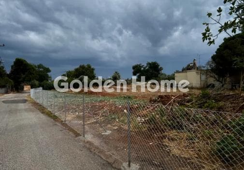 Οικόπεδο στην Άγιος Παντελεήμονας, Νέα Μάκρη — Φωτογραφία 2 από 2