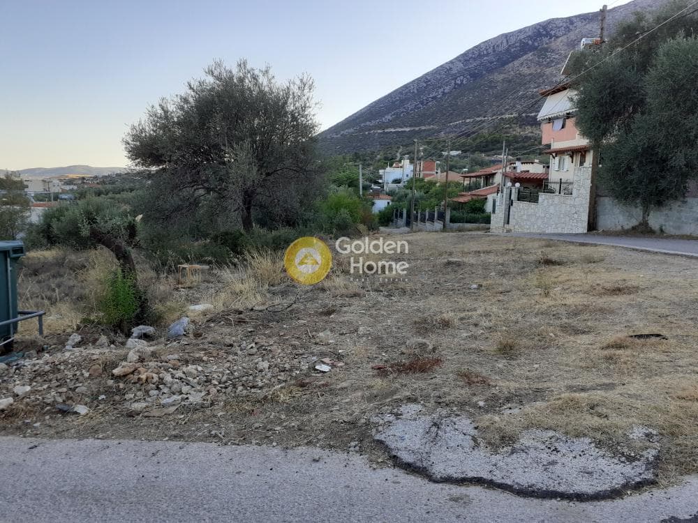 Αγροτεμάχιο στην Αγία Τριάδα, Παιανία — Φωτογραφία 5 από 5