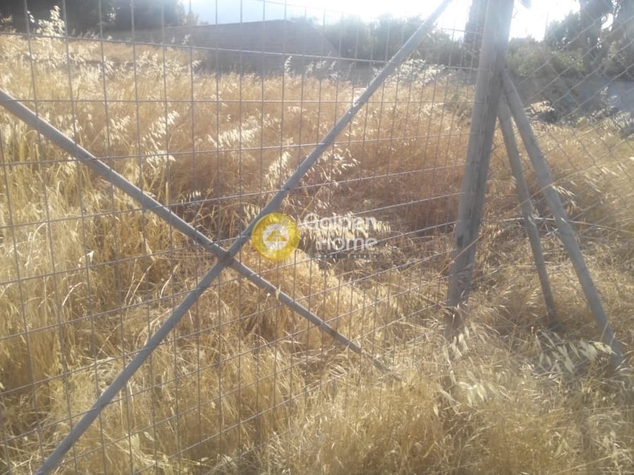 Building Plot in Kalivia, Kalivia Thorikou — Photo 3 of 6