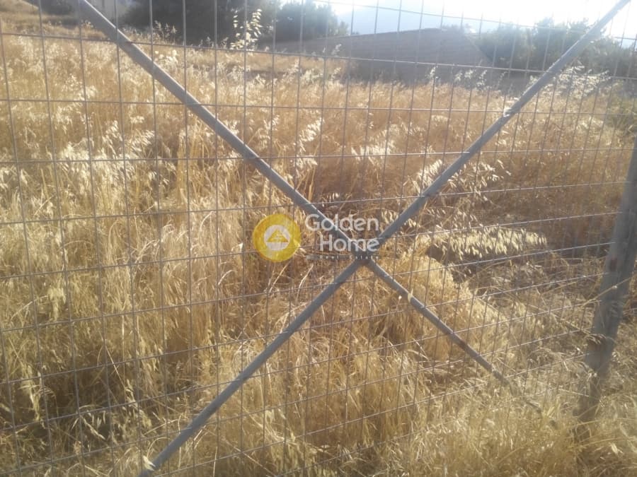 Building Plot in Kalivia, Kalivia Thorikou — Photo 5 of 6