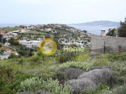 Αγροτεμάχιο στην Μικρολίμανο, Λαύριο — Φωτογραφία 1 από 7