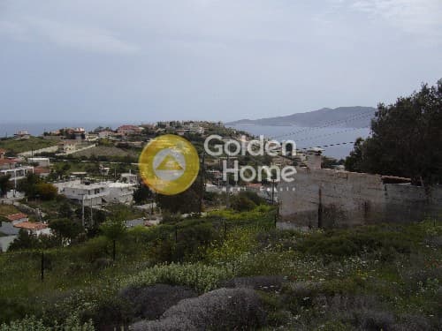 Αγροτεμάχιο στην Μικρολίμανο, Λαύριο — Φωτογραφία 7 από 7