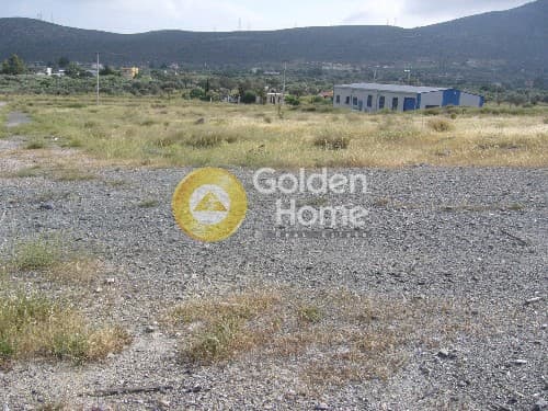 Building Plot in Rountzeri Lemprou, Keratea — Photo 6 of 9