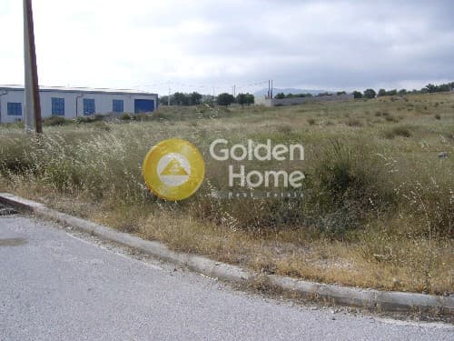 Building Plot in Rountzeri Lemprou, Keratea — Photo 9 of 9