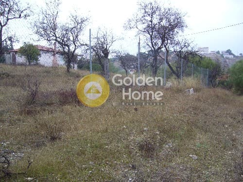Αγροτεμάχιο στην Αγία Μαρίνα, Κορωπί — Φωτογραφία 2 από 9
