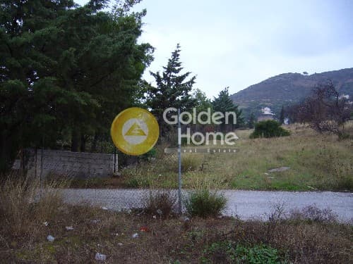 Αγροτεμάχιο στην Αγία Μαρίνα, Κορωπί — Φωτογραφία 4 από 9