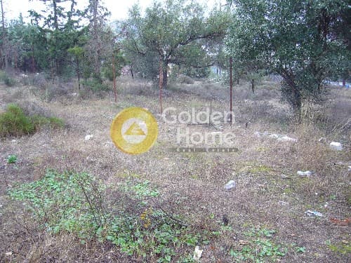 Αγροτεμάχιο στην Αγία Μαρίνα, Κορωπί — Φωτογραφία 3 από 9
