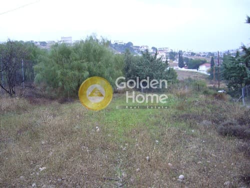 Αγροτεμάχιο στην Αγία Μαρίνα, Κορωπί — Φωτογραφία 5 από 9