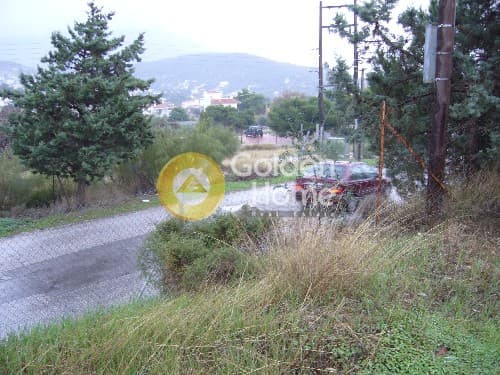 Αγροτεμάχιο στην Αγία Μαρίνα, Κορωπί — Φωτογραφία 8 από 9