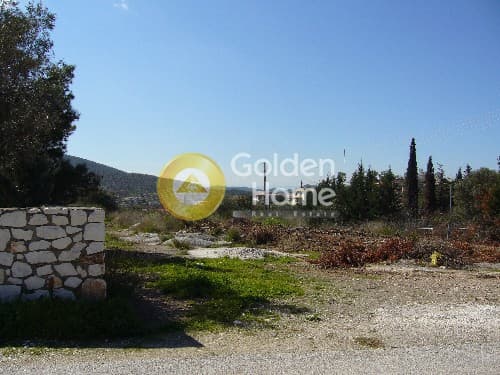 Parcel in Lamprika, Koropi — Photo 3 of 8