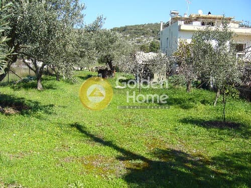 Parcel in Lamprika, Koropi — Photo 5 of 8