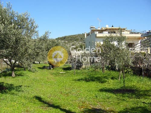 Parcel in Lamprika, Koropi — Photo 6 of 8