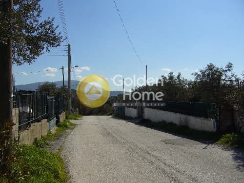 Parcel in Lamprika, Koropi — Photo 7 of 8