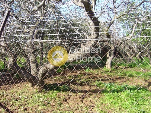 Building Plot in Ano Mpalana, Pallini — Photo 3 of 8
