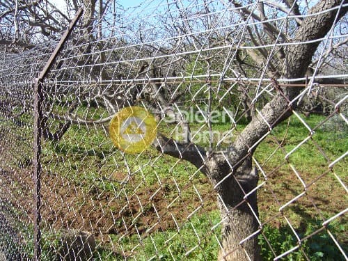 Building Plot in Ano Mpalana, Pallini — Photo 4 of 8