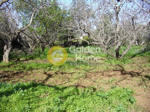 Building Plot in Ano Mpalana, Pallini — Photo 5 of 8