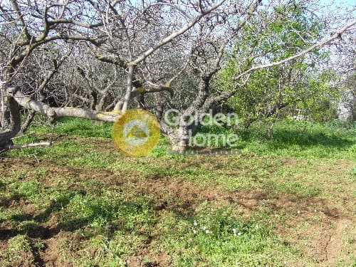 Building Plot in Ano Mpalana, Pallini — Photo 6 of 8