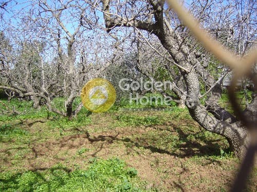 Building Plot in Ano Mpalana, Pallini — Photo 7 of 8