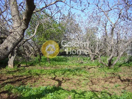 Building Plot in Ano Mpalana, Pallini — Photo 8 of 8