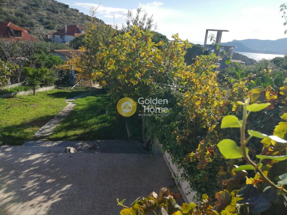Οικόπεδο στην Πόρτο Ράφτη, Βραυρώνα — Φωτογραφία 7 από 9