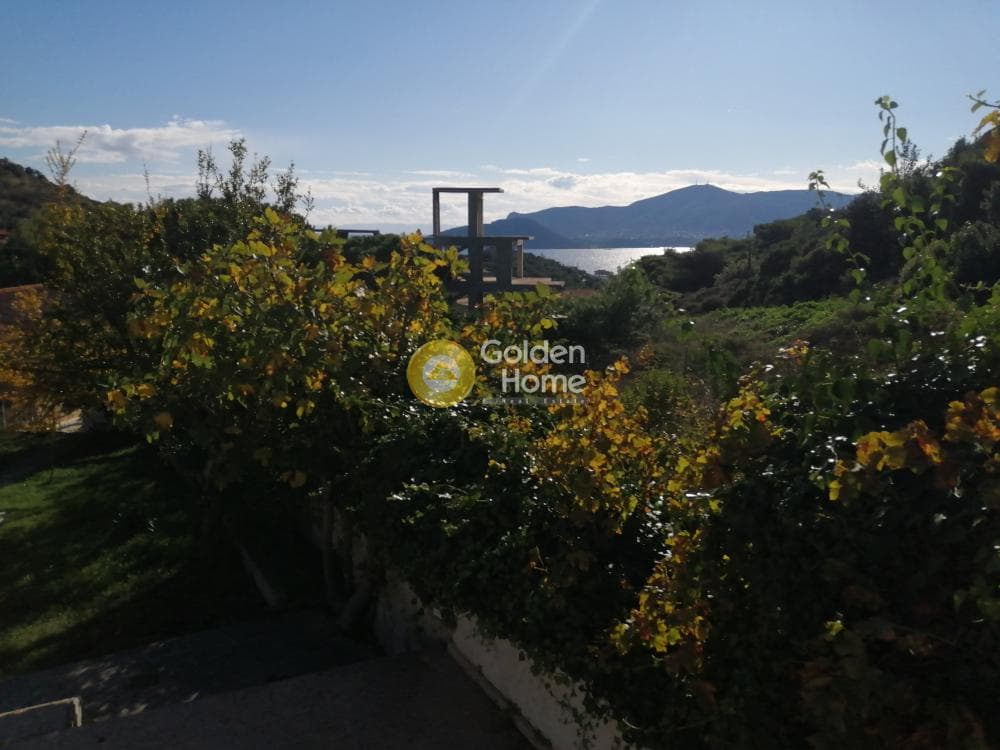 Οικόπεδο στην Πόρτο Ράφτη, Βραυρώνα — Φωτογραφία 1 από 9