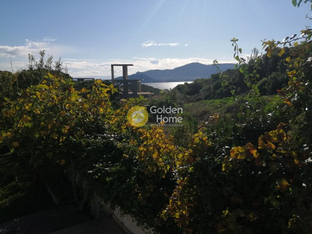 Οικόπεδο στην Πόρτο Ράφτη, Βραυρώνα — Φωτογραφία 8 από 9