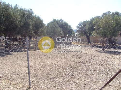 Parcel in Agia Marina, Koropi — Photo 1 of 2