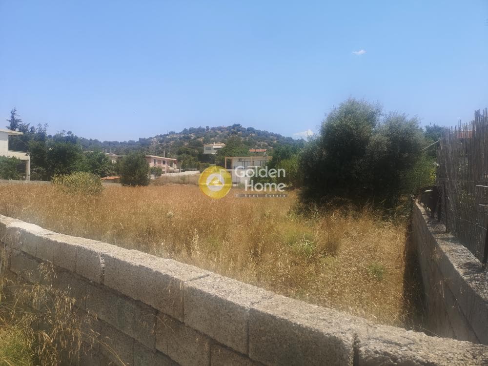 Αγροτεμάχιο στην Λαμπρικά, Κορωπί — Φωτογραφία 3 από 5