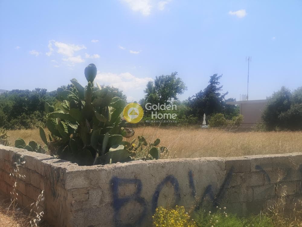 Αγροτεμάχιο στην Λαμπρικά, Κορωπί — Φωτογραφία 4 από 5