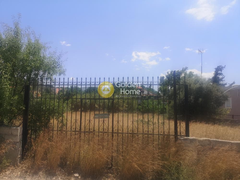 Αγροτεμάχιο στην Λαμπρικά, Κορωπί — Φωτογραφία 1 από 5
