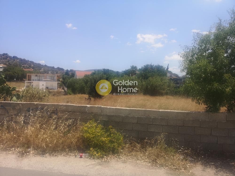 Αγροτεμάχιο στην Λαμπρικά, Κορωπί — Φωτογραφία 5 από 5