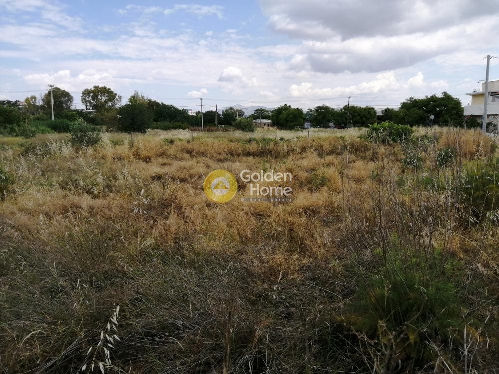 Building Plot in Center, Koropi — Photo 10 of 11